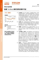 有色行业周报:秘鲁Tia Maria铜矿获得关键许可证