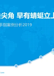 中国云手机市场红手指案例分析：小荷才露尖尖角 早有蜻蜓立上头