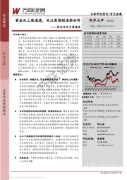 有色行业月度报告：黄金处上涨通道，关注高端制造新材料