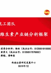化工：维生素产业链分析框架