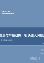 食品饮料2019年7月第2期周报：葡萄酒消费量与产量双降，板块进入深度洗牌区间