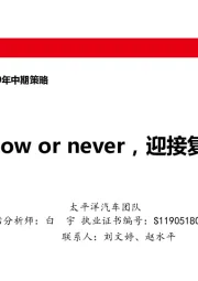 乘用车行业2019年中期策略:It’s now or never,迎接复苏时刻
