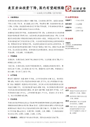 石油化工行业周报：美页岩油投资下降，国内有望超预期