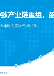 中国第三方支付行业年度专题分析2019：行业分化导致产业链重组，盈利空间仍存