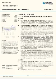 纺织品和服装行业:小米&网易严选&南极电商模式与数据对比:白牌电商,星辰大海