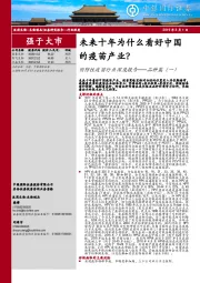 预防性疫苗行业深度报告——品种篇（一）：未来十年为什么看好中国的疫苗产业？