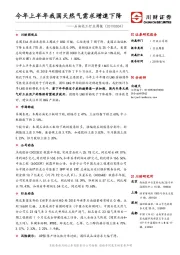 石油化工行业周报：今年上半年我国天然气需求增速下降