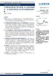 通信行业行业点评报告:中国移动投资指引符合预期,5G投资持续增长、在总量和结构性方面仍有持续超预期可能