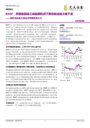 海外石化化工龙头半年报系列之三：BASF：异氰酸酯和乙烯裂解利润下降导致业绩大幅下滑