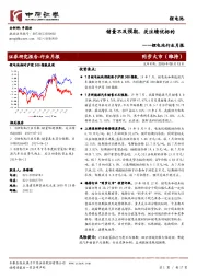 锂电池行业月报：销量不及预期，关注绩优标的
