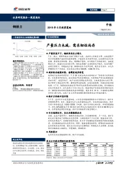 钢铁Ⅱ2019年8月投资策略：产量压力未减，需求韧性尚存