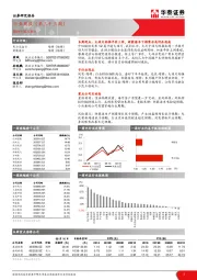 电力设备与新能源行业周报（第三十三周）