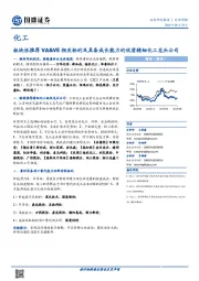 化工行业周报：板块性推荐VA&VE相关标的及具备成长能力的优质精细化工龙头公司