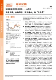 煤炭行业区域专题报告——山东篇：用煤大省，自给率低；两大煤企，均“走出去”