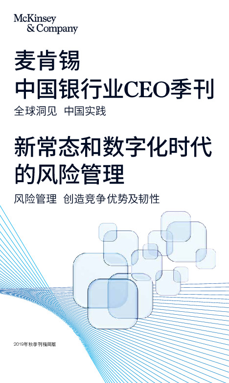 中国银行业CEO季刊：新常态和数字化时代的风险管理