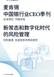 中国银行业CEO季刊：新常态和数字化时代的风险管理