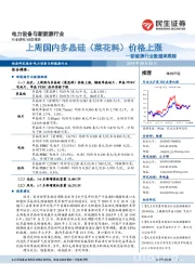 新能源行业数据周跟踪：上周国内多晶硅（菜花料）价格上涨