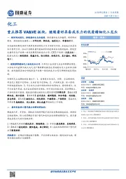 化工行业周报：重点推荐VA&VE板块，继续看好具备成长力的优质精细化工龙头