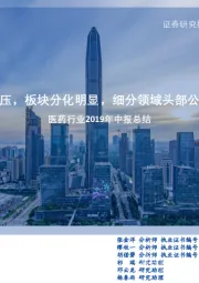 医药行业2019年中报总结:行业整体承压,板块分化明显,细分领域头部公司继续领跑