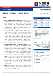 电子元器件行业季度策略：酒醒何时？橙黄橘绿？玉骨冰姿？陌上花？