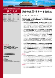 保险行业2019年半年报综述：建久安之势，成长治之业