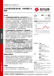 新能源汽车产业链行业：三元正极仍具投资价值，未来把握三大趋势