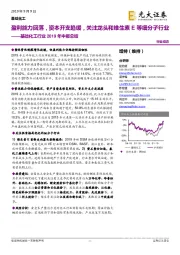 基础化工行业2019年中报总结：盈利能力回落，资本开支趋缓，关注龙头和维生素E等细分子行业