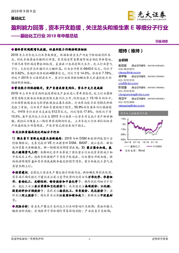 基础化工行业2019年中报总结：盈利能力回落，资本开支趋缓，关注龙头和维生素E等细分子行业