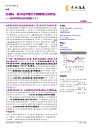 国际环保巨头系列报告之十二：优美科：循环经济理念下的锂电正极龙头