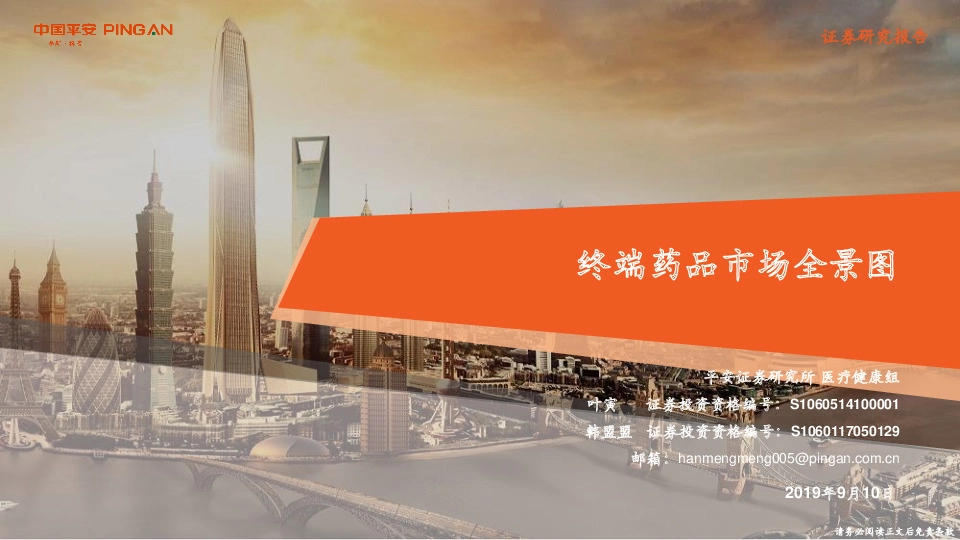 终端药品市场全景图