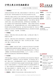 石油化工行业周报：沙特主要石油设施被袭击
