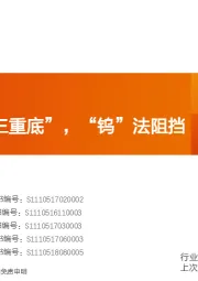 稀有金属行业深度研究：钨：越过“三重底”，“钨”法阻挡