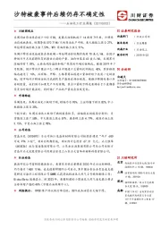 石油化工行业周报：沙特被袭事件后续仍存不确定性