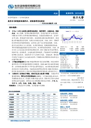 汽车行业周报第36期：乘用车与新能源短期承压，持续推荐岱美股份