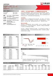 电力设备Ⅱ/新能源Ⅱ行业周报（第三十八周）