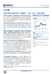 区块链：初探中国央行数字货币（DCEP）：目标、定位、机制与影响