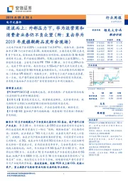 电子元器件行业周报：逆流而上：外部压力下，华为运营商和消费者业务仍不负众望（附：直击华为2019年度旗舰新品发布会现场）