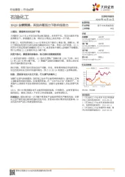 石油化工19Q3业绩预测：关注外部压力下的内生动力