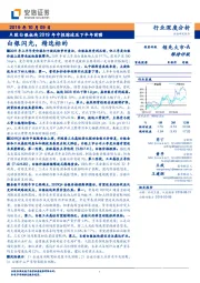 A股白银板块2019年中报综述及下半年前瞻：白银闪光，精选标的