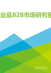 2019年中国工业品B2B市场研究报告