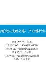 海外再生资源龙头成就之路：产业链衍生+外延拓展