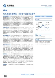 钢铁行业周报：悲观预期仍在释放，但价格下调空间在缩窄