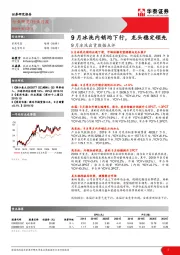 9月冰洗出货数据点评：9月冰洗内销均下行，龙头稳定领先