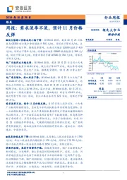 煤炭周报：需求淡季不淡，预计11月价反弹