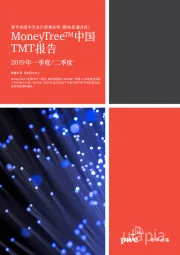 中国TMT报告：2019年一季度二季度
