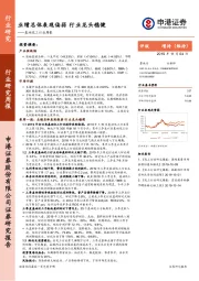 基础化工行业周报：业绩总体表现偏弱 行业龙头稳健