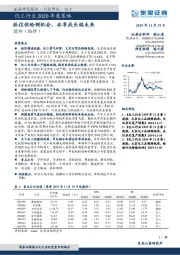 化工行业2020年度策略：抓住供给侧机会，共享成长端未来