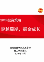 化工行业2020年投资策略：穿越周期，掘金成长