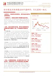 动力煤龙头陕西煤业和中国神华:冬天里的一把火