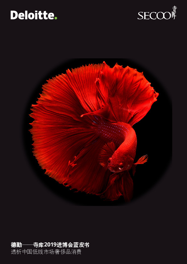 寺库2019进博会蓝皮书：透析中国低线市场奢侈品消费